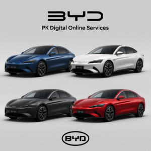 BYD CAR,byd cars in india