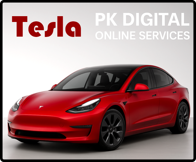 tesla india