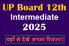 intermediate 12th results 2025